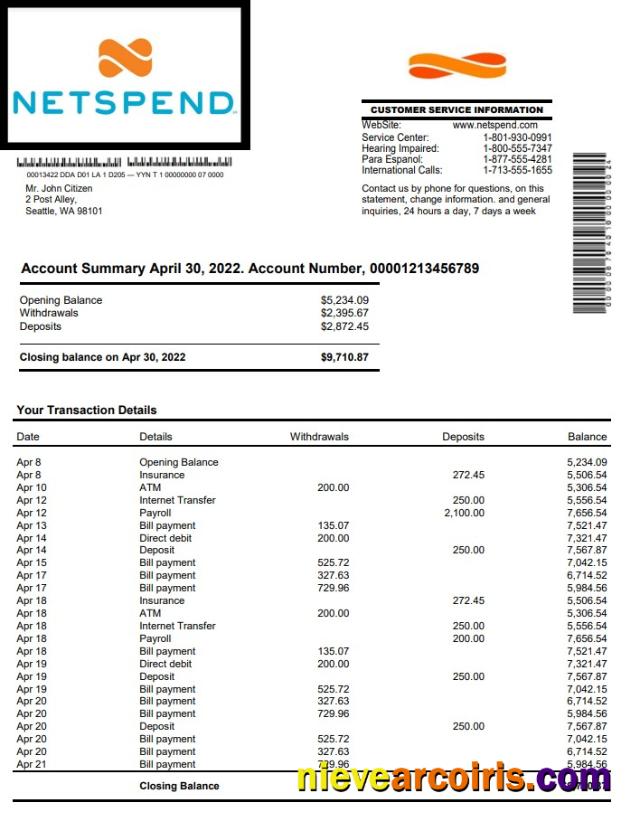 USA Netspend bank statement